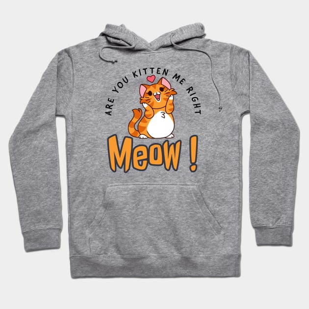 Are you kitten me right meow Hoodie by kirkomed